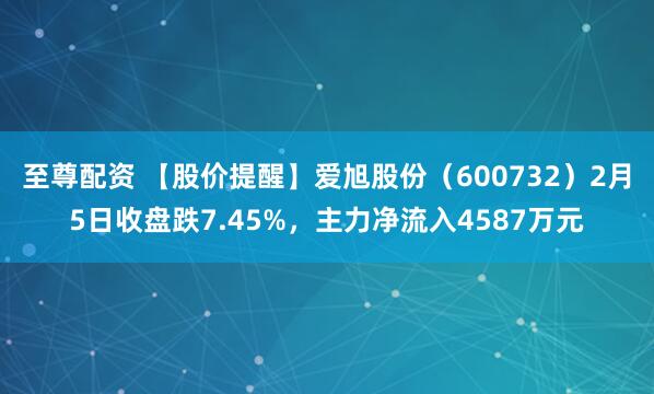 至尊配资 【股价提醒】爱旭股份（600732）2月5日收盘跌7.45%，主力净流入4587万元