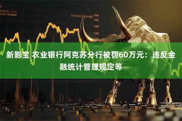 新影宝 农业银行阿克苏分行被罚60万元：违反金融统计管理规定等