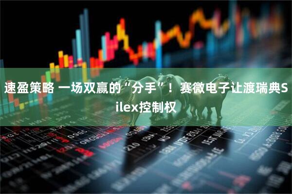 速盈策略 一场双赢的“分手”！赛微电子让渡瑞典Silex控制权